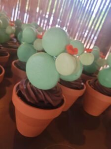 Planted Cupcake with Cactus Macaroons in Bakkery