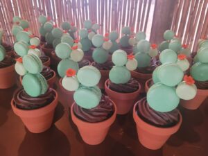 Planted Cupcake with Cactus Macaroons (2)